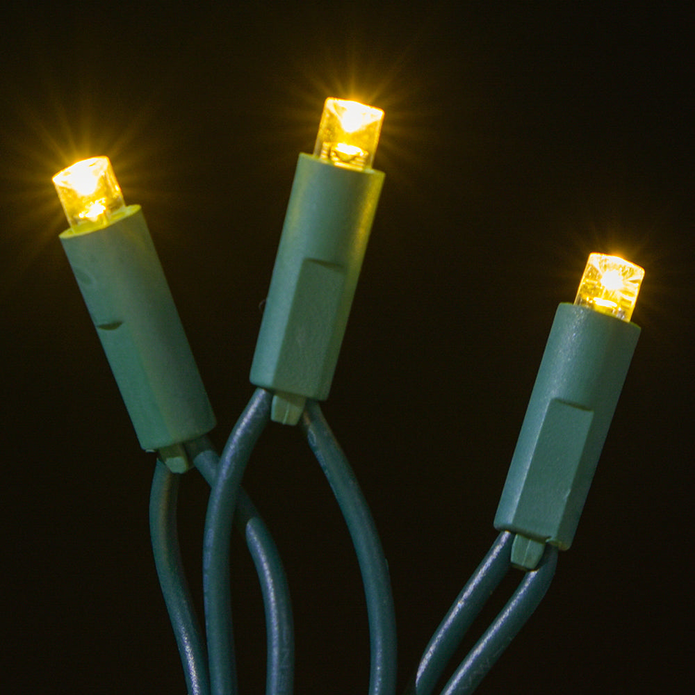 LED Concave 5MM Light Set, 70 Ct, 4" Spacing, Two Wire -Pro Lights