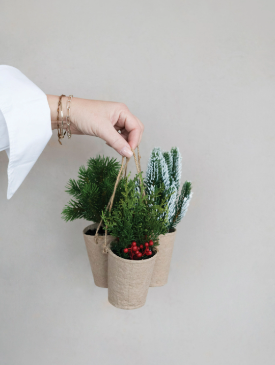 Christmas Greenery + Paper Pot