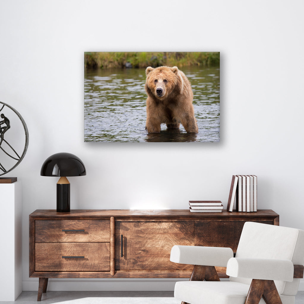 Bear in the Lake - Print