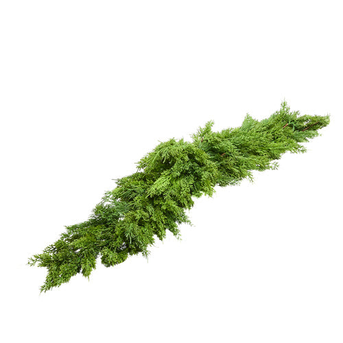 Cedar Swag