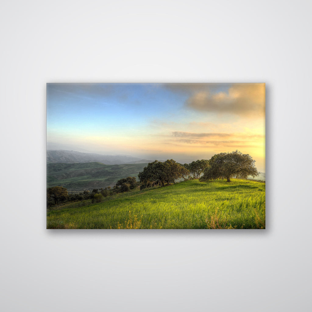 Hillside Trees - Print