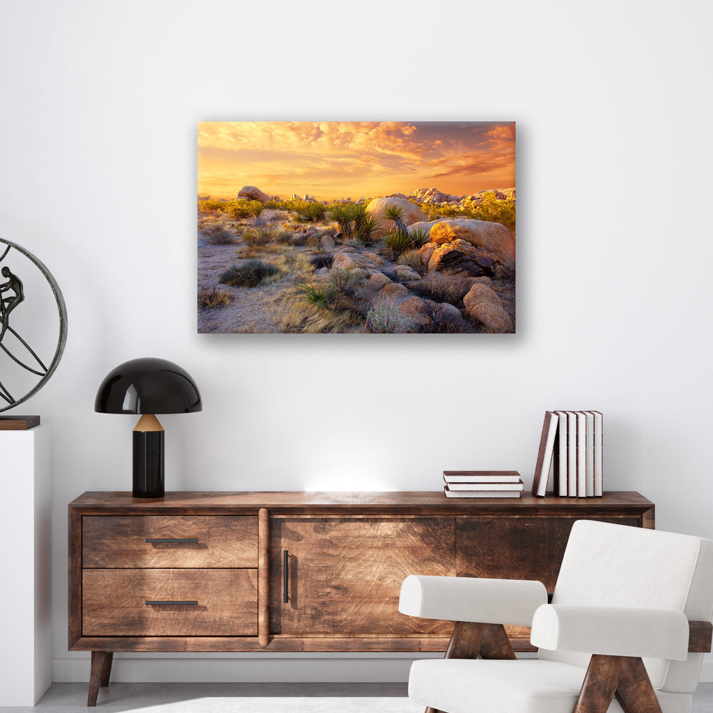 Joshua Tree Sunset - Print