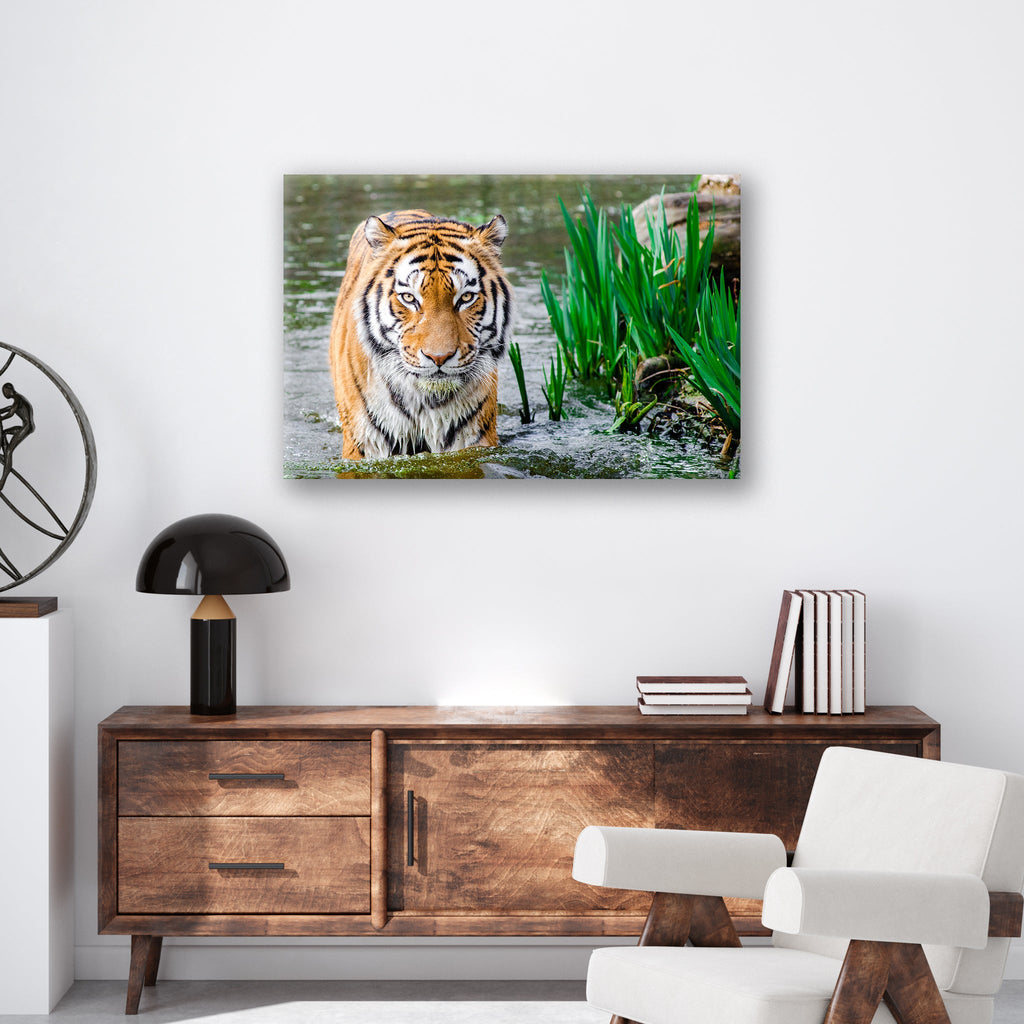Jungle Tiger - Print