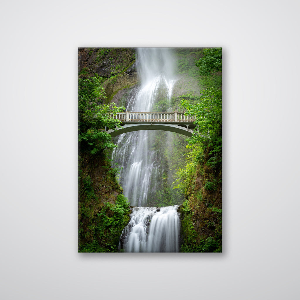 Multnomah Falls - Print