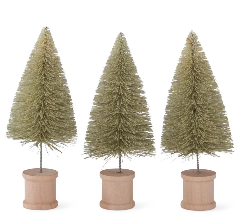 Green Bottle Brush Tree