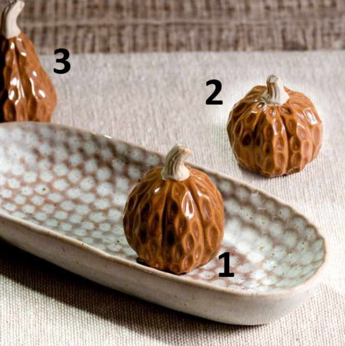 Brown Pumpkin + Gourd