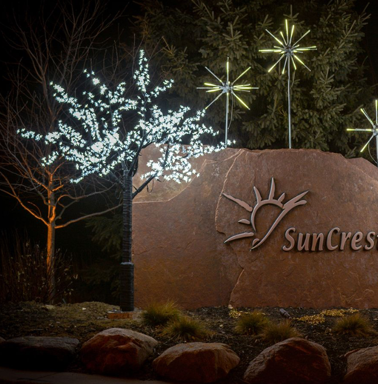 8' Cherry Blossom Tree