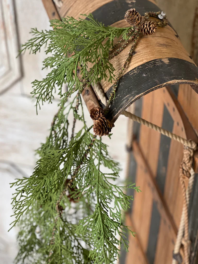 North Rim Hemlock Vine
