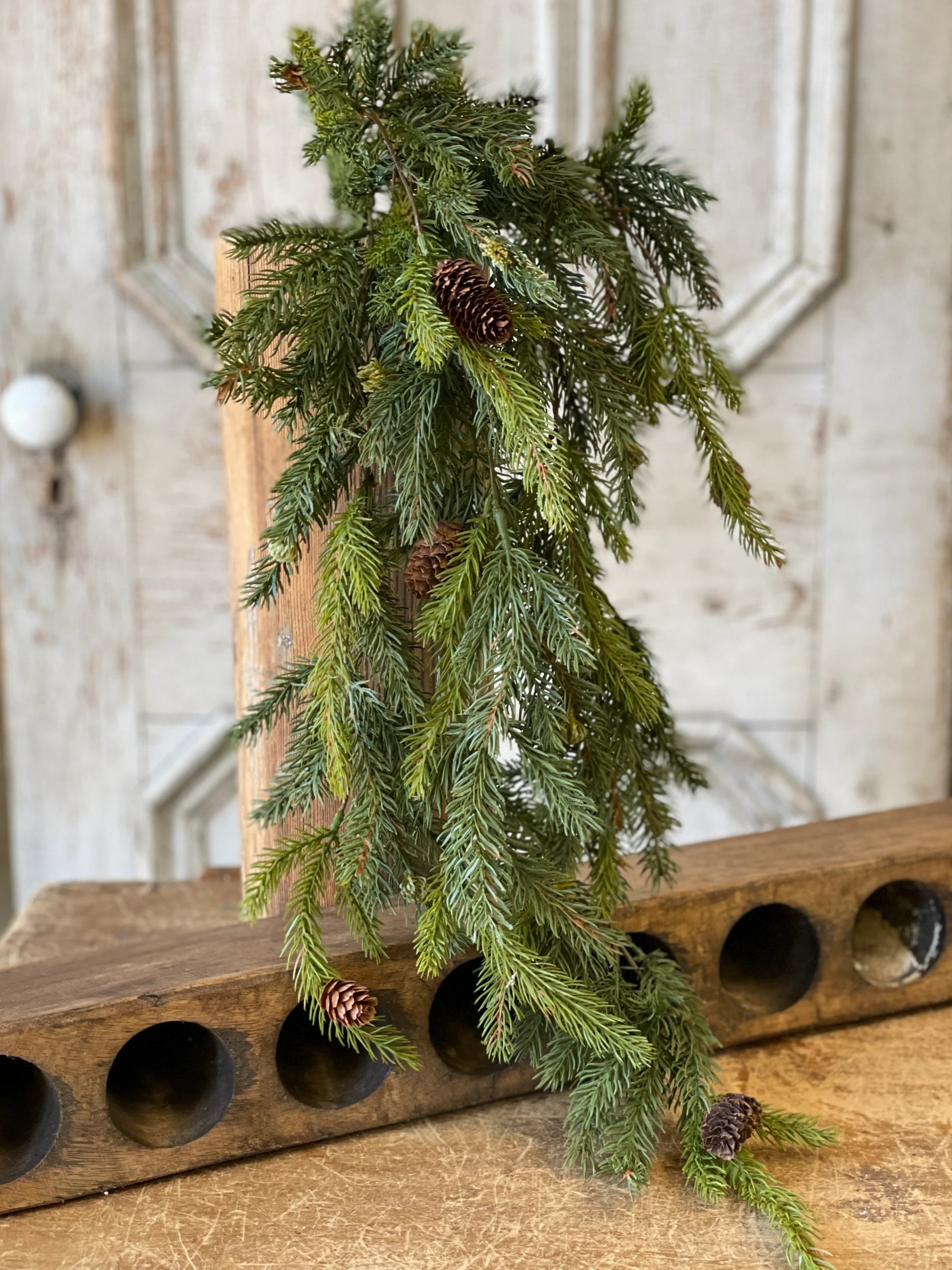 Hanging White Spruce