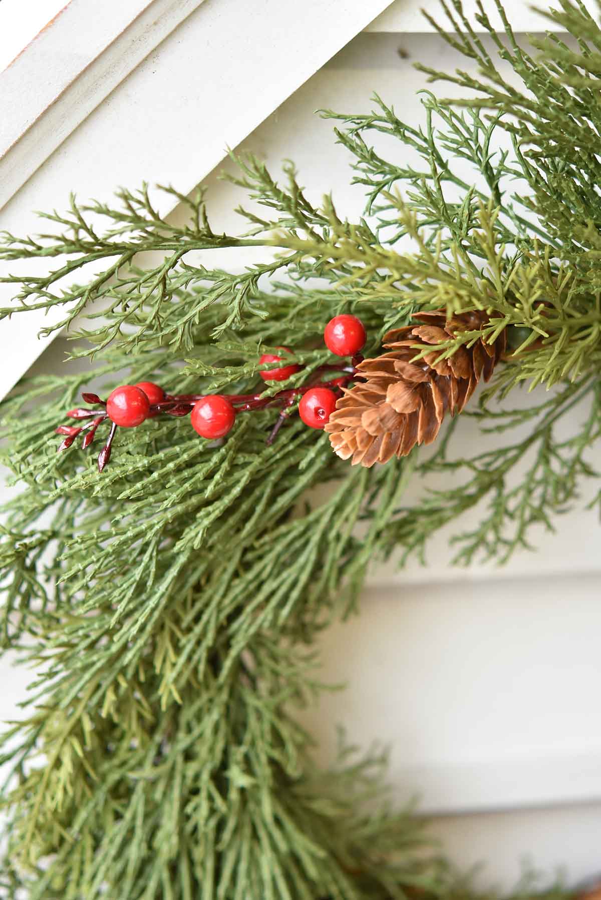 Hanging Alpine + Berries