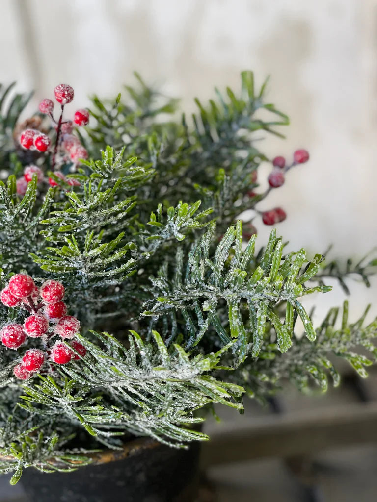 Winter Jewel Hemlock Orb