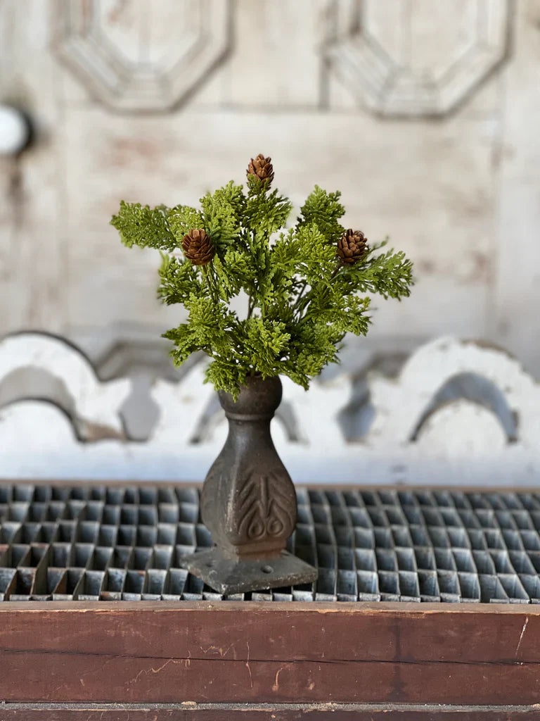 Leyland Cypress Bush