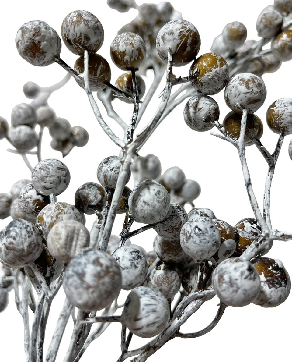 3 Brown Berries Painted White