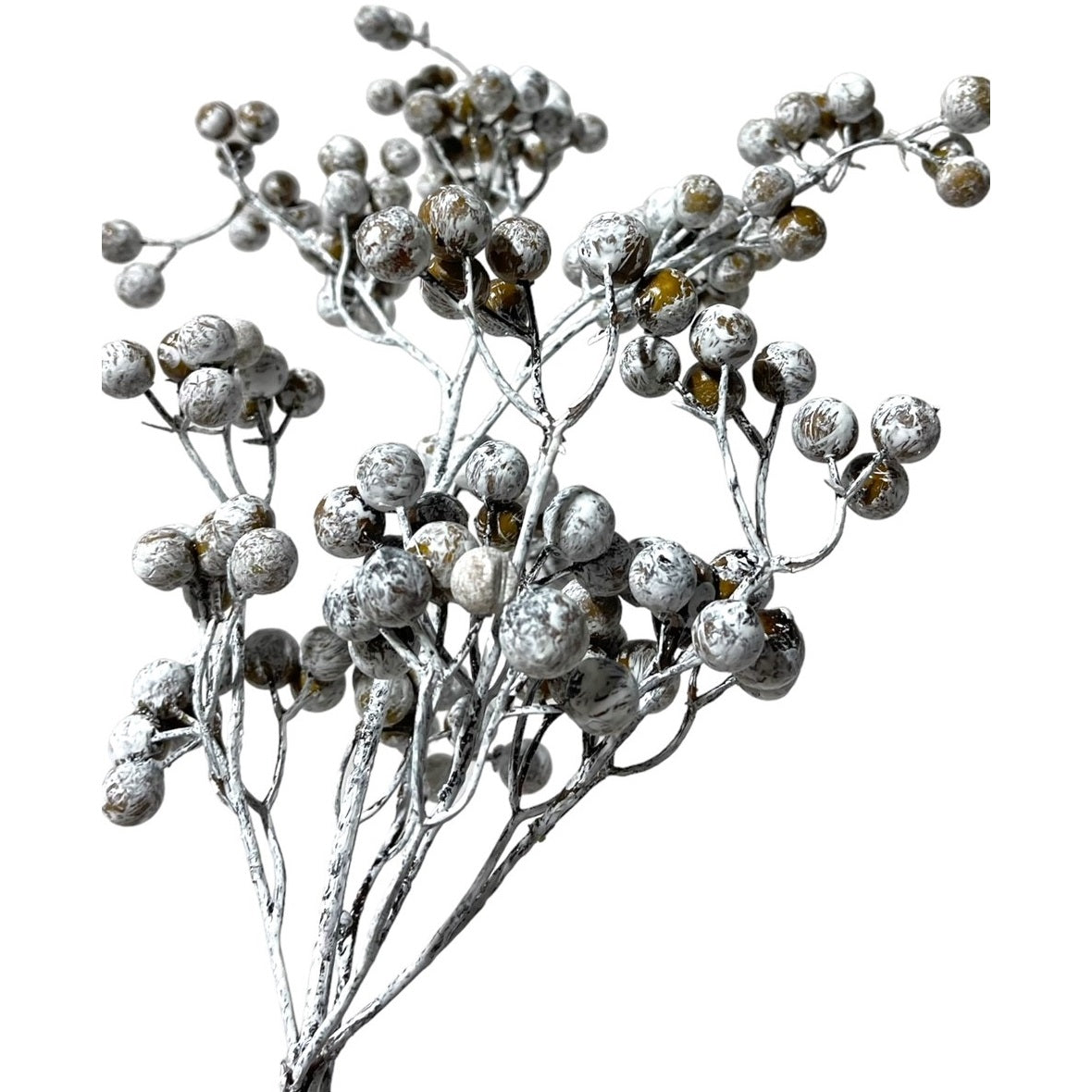 3 Brown Berries Painted White