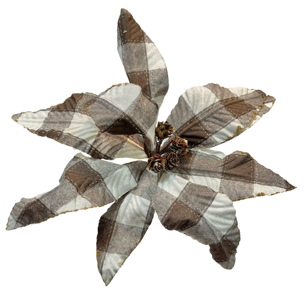 6 Brown and Cream Check Poinsettias