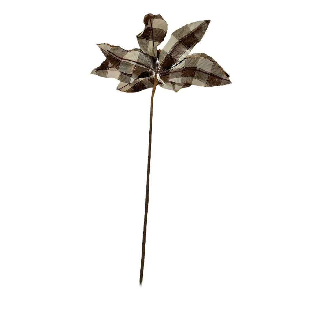 6 Brown and Cream Check Poinsettias