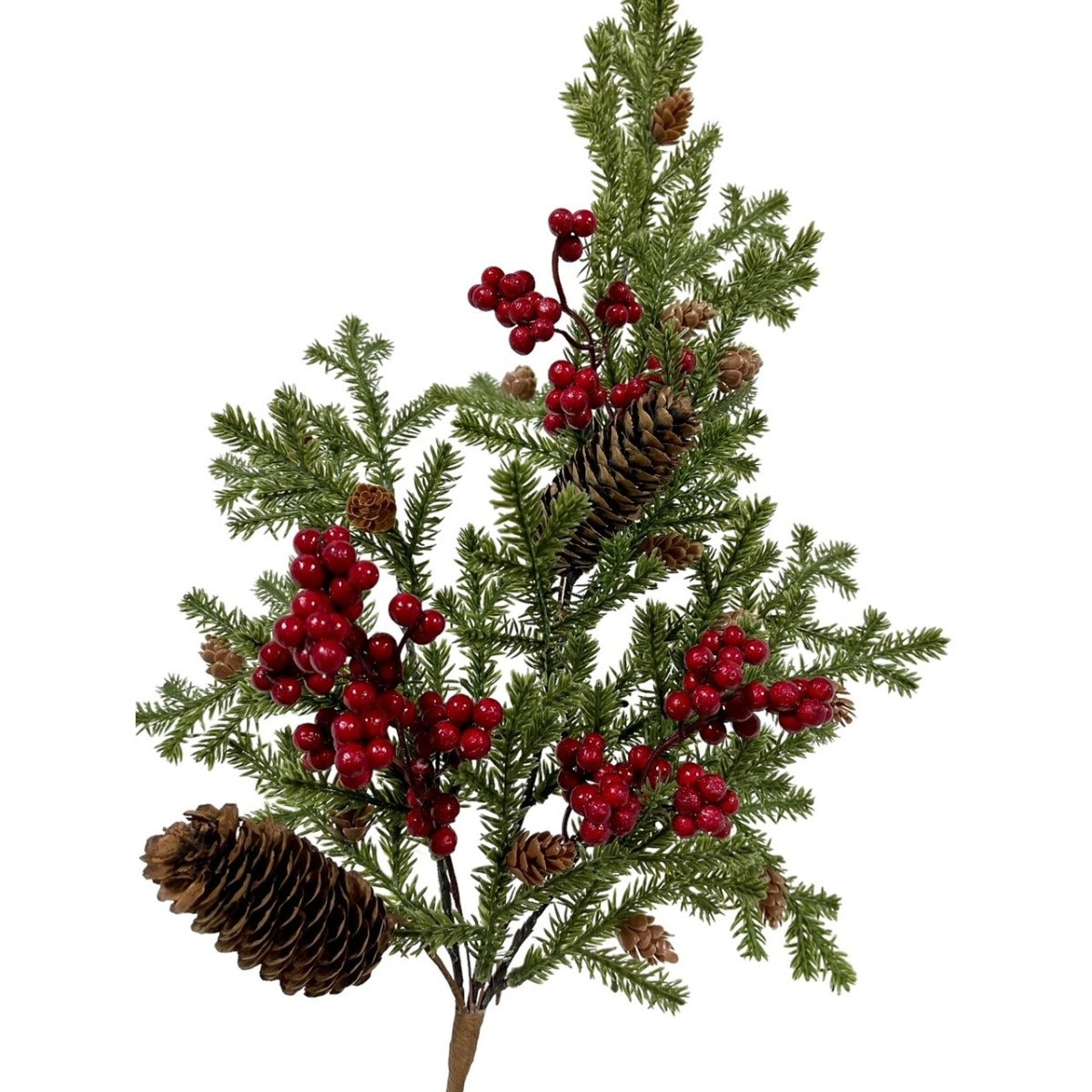 3 Greens with Cones & Berries