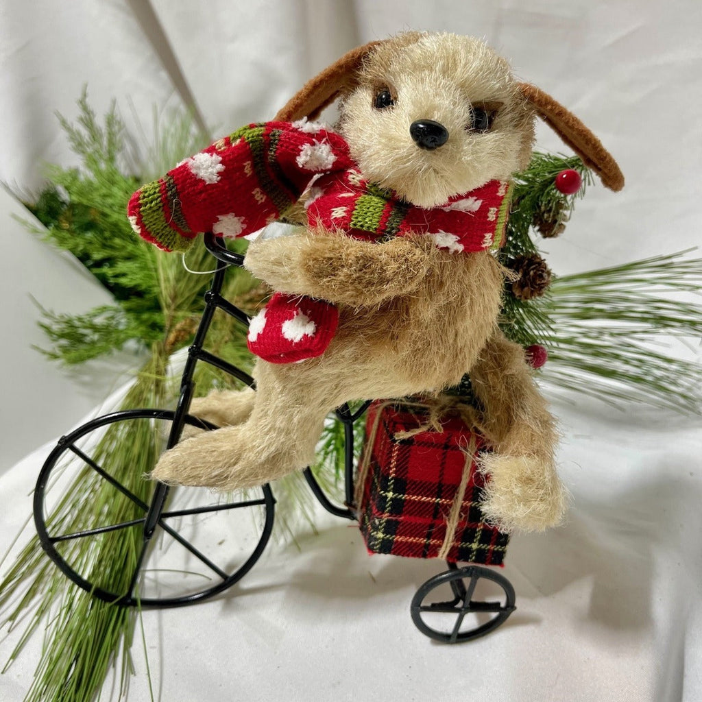10" Dog on a Bike