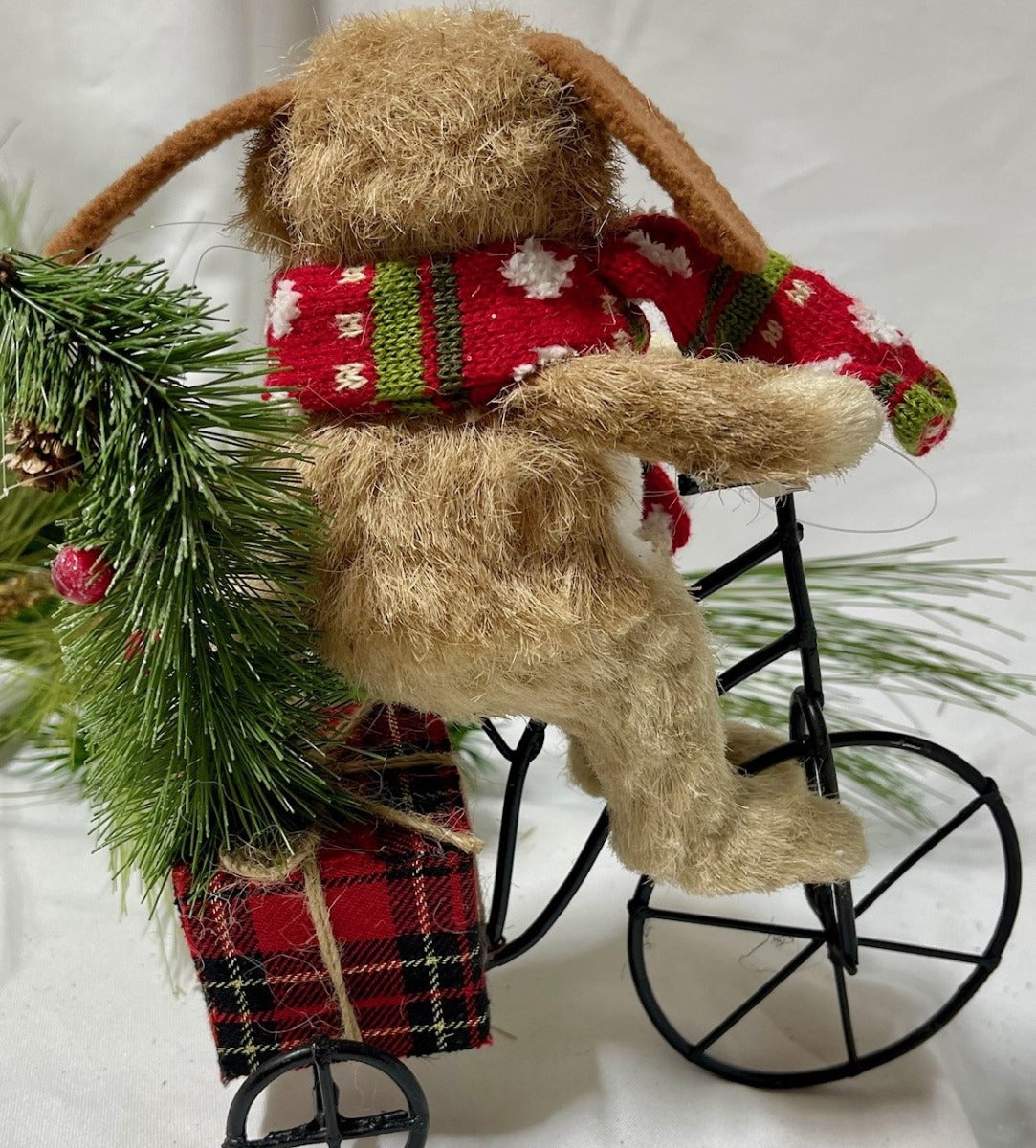 10" Dog on a Bike
