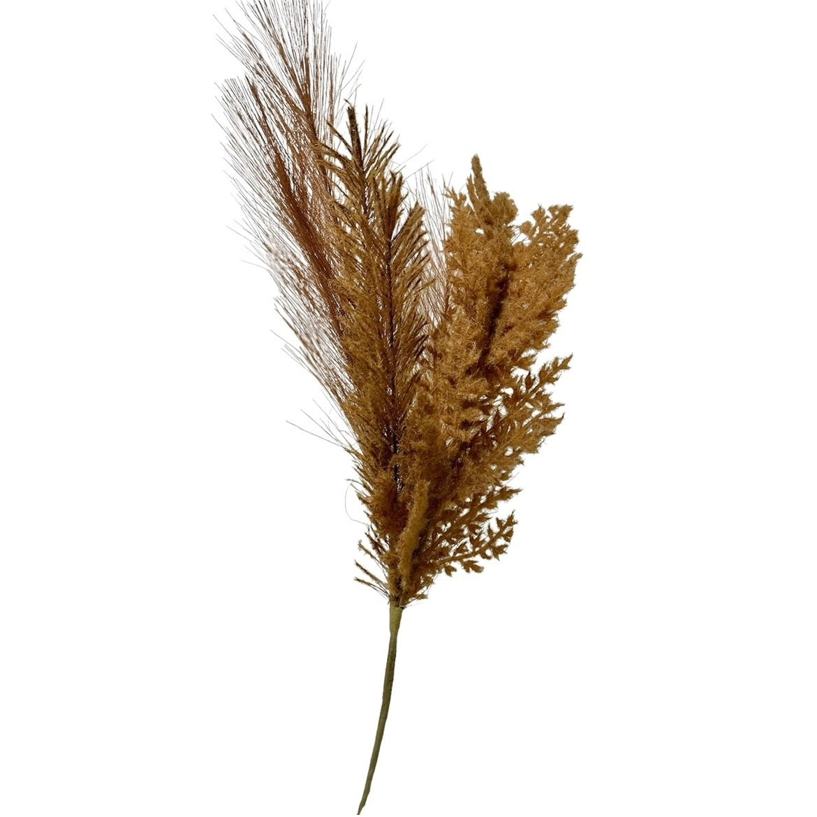 6 Feathery Fall Picks