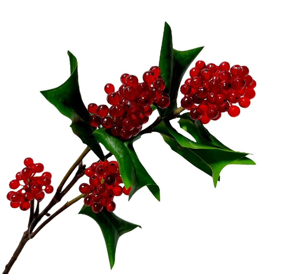 3 Holly with Translucent Berries