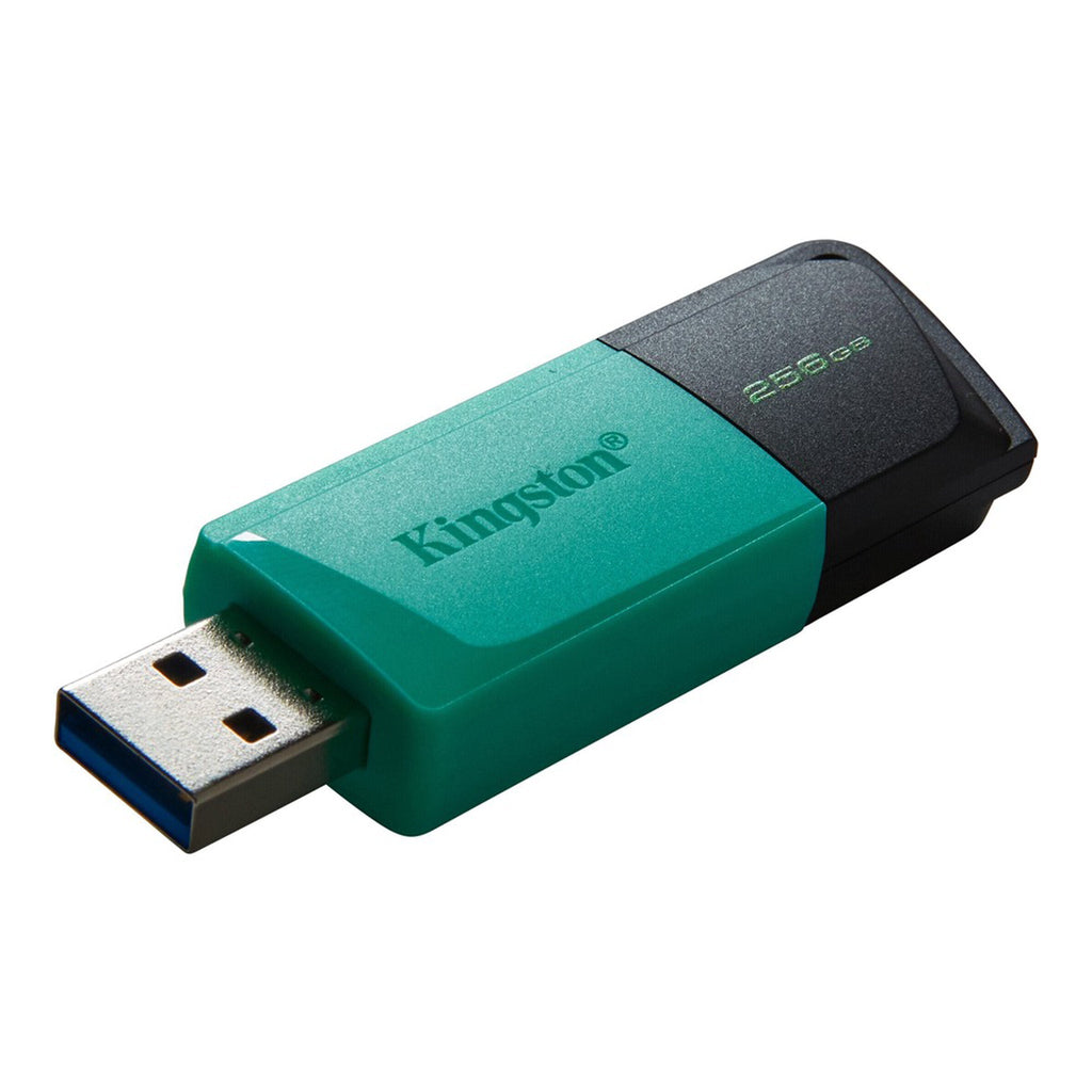 Kingston DTXM/256GB USB 3.2 DataTraveler Exodia M Flash Drive - 256GB - Teal/Black