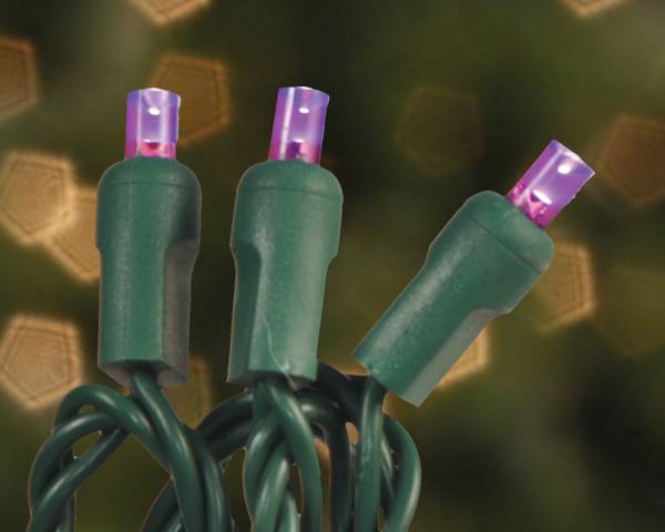 LED Concave 5MM Light Set, 50 Ct, 4" Spacing, Two Wire