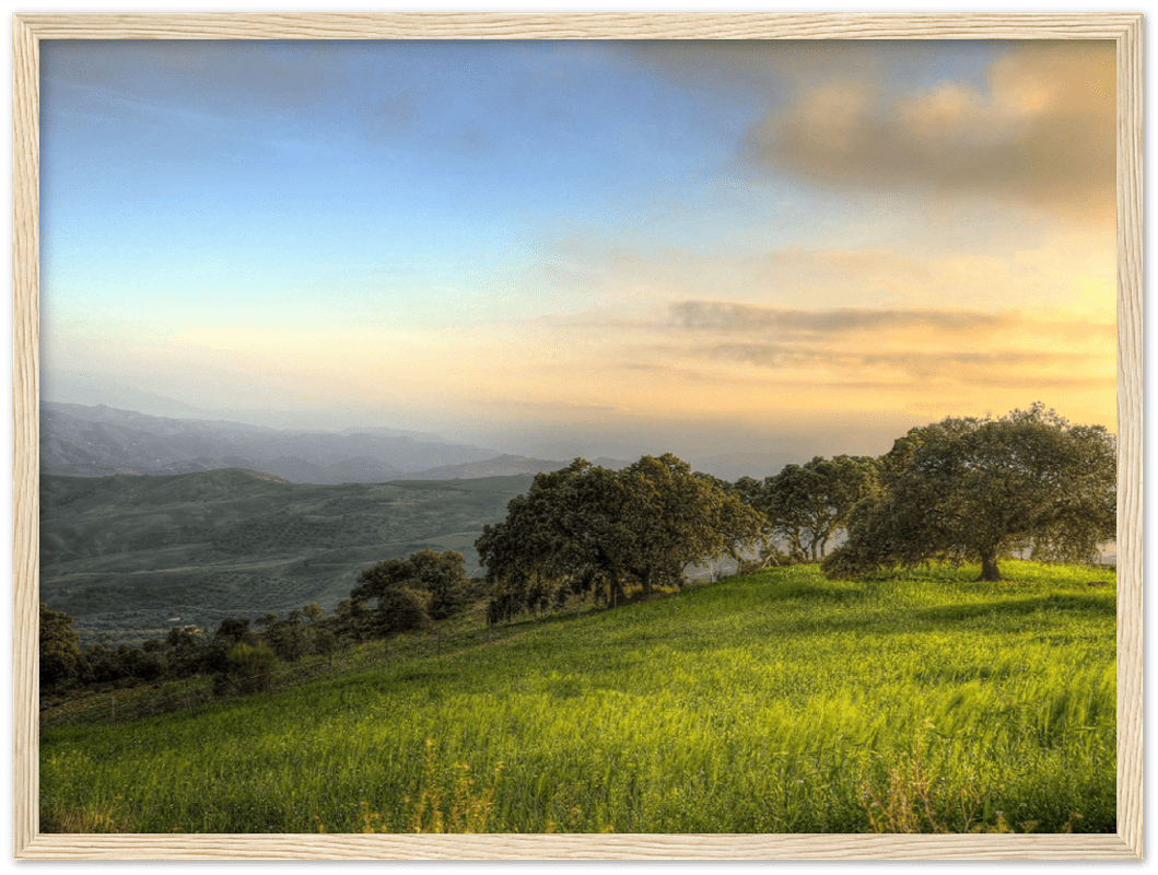 Hillside Trees - Print