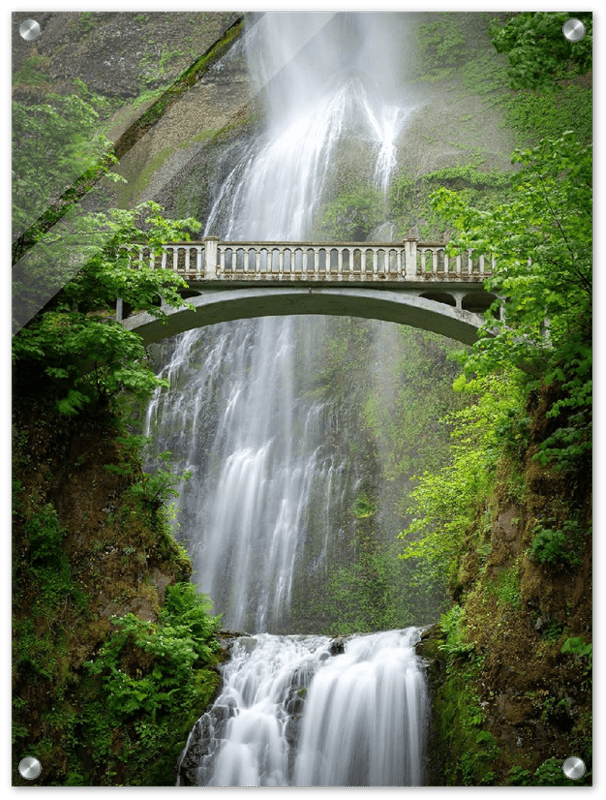 Multnomah Falls - Print