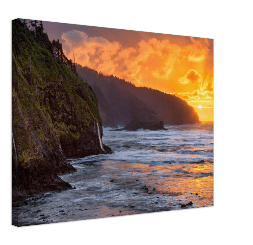 Oregon Coast - Print