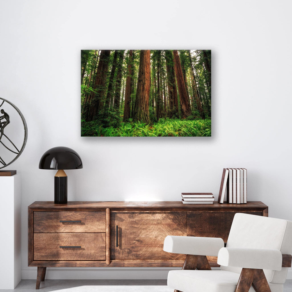Redwood Ferns - Print