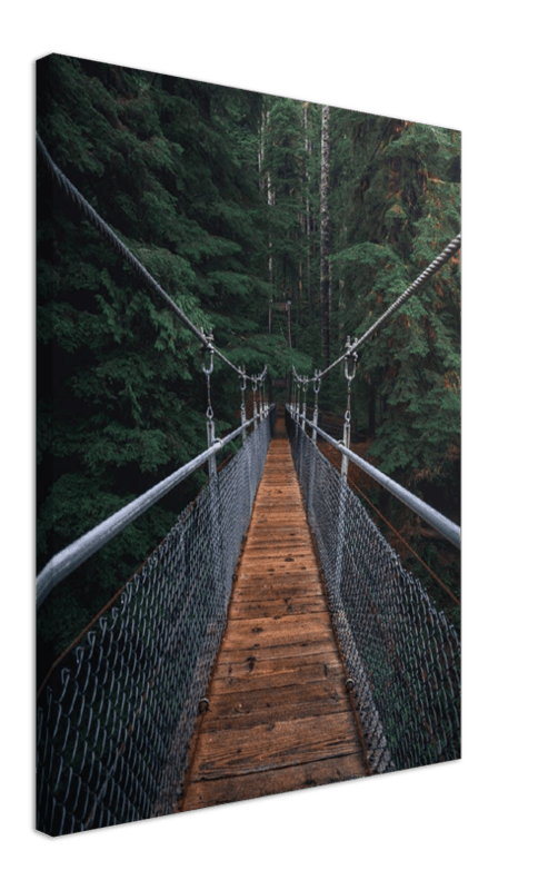Suspension Bridge - Print
