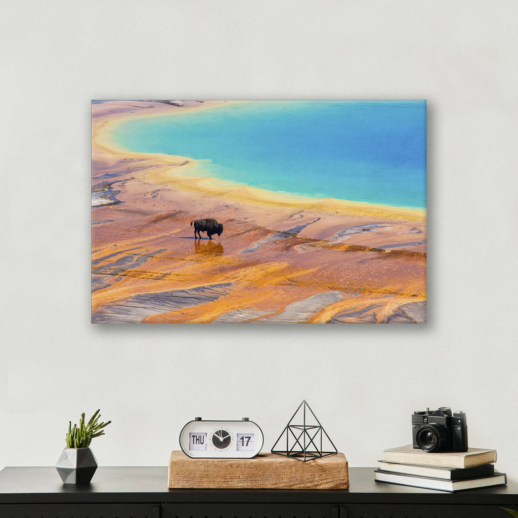 Yellowstone Prismatic Spring - Print