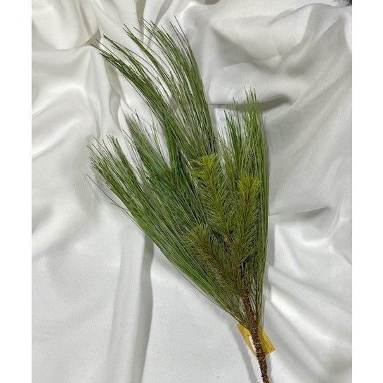 6 Mountain Pine Spray Picks