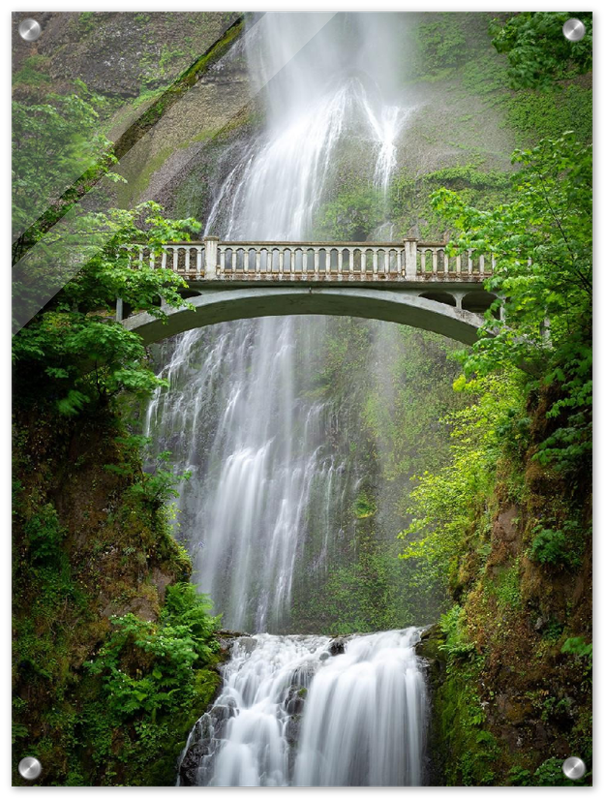 Multnomah Falls - Print