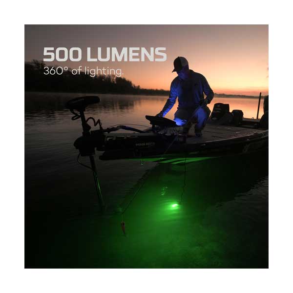 NEBO Submerser 500 Lumen Underwater Fishing Light & Dock Light (NEB-OTH-0009)