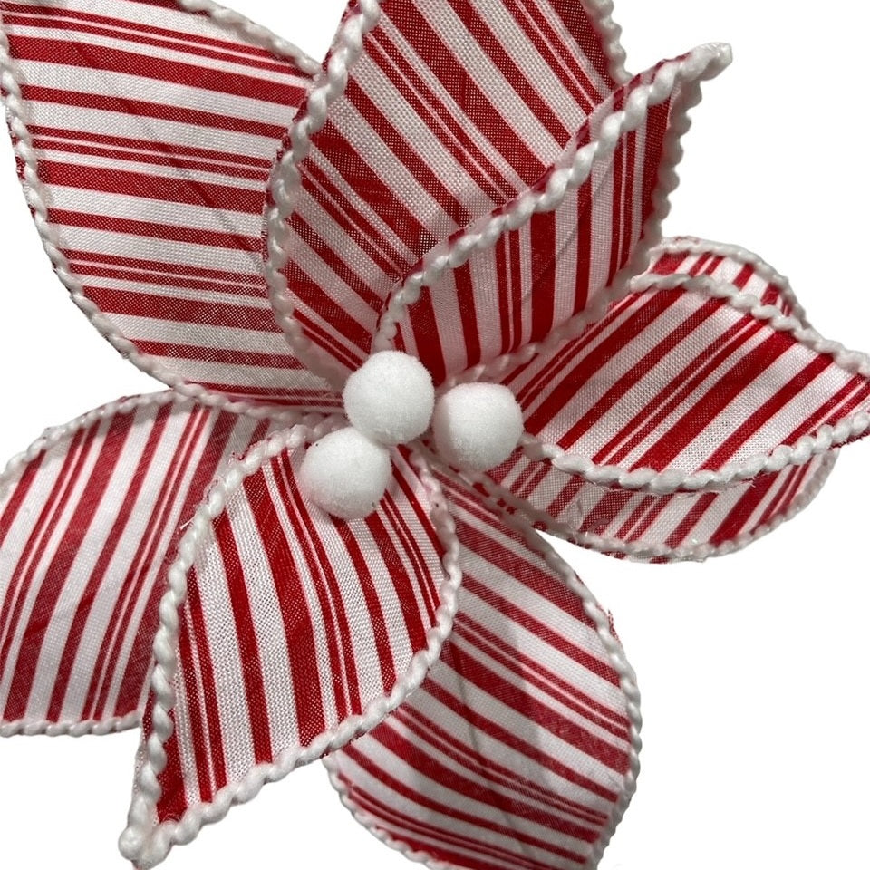 6 Red/White Stripe Poinsettias w/Pom-Pom Center