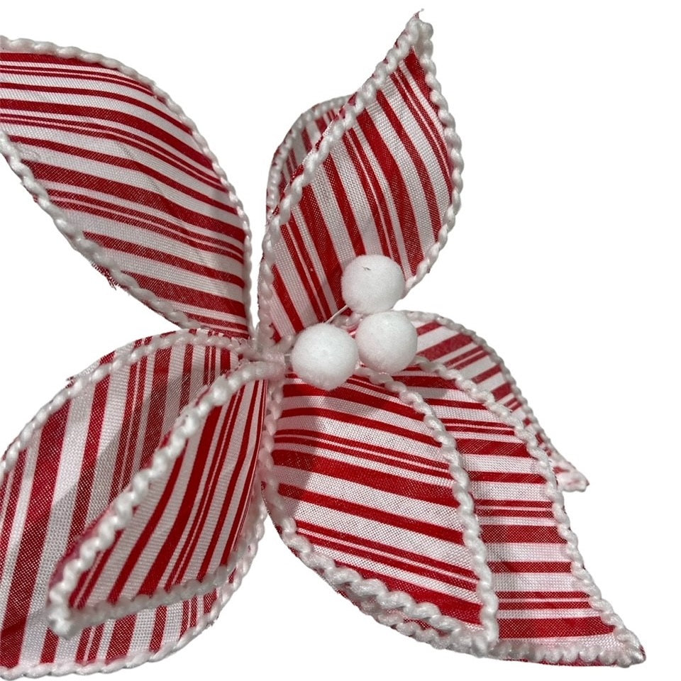 6 Red/White Stripe Poinsettias w/Pom-Pom Center