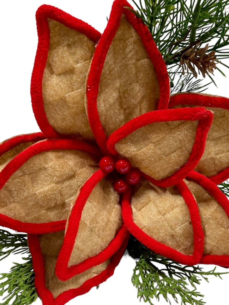 6 Tan and Red Textured Poinsettia